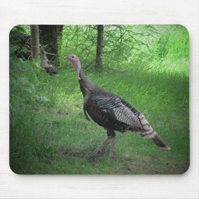 American Wild Turkey Mouse Pad (Front)