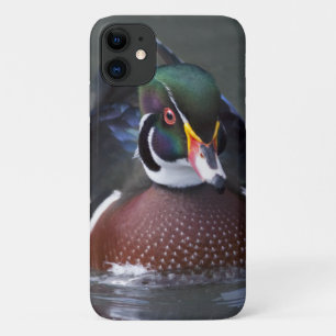 American Wood Duck iPhone 11 Case