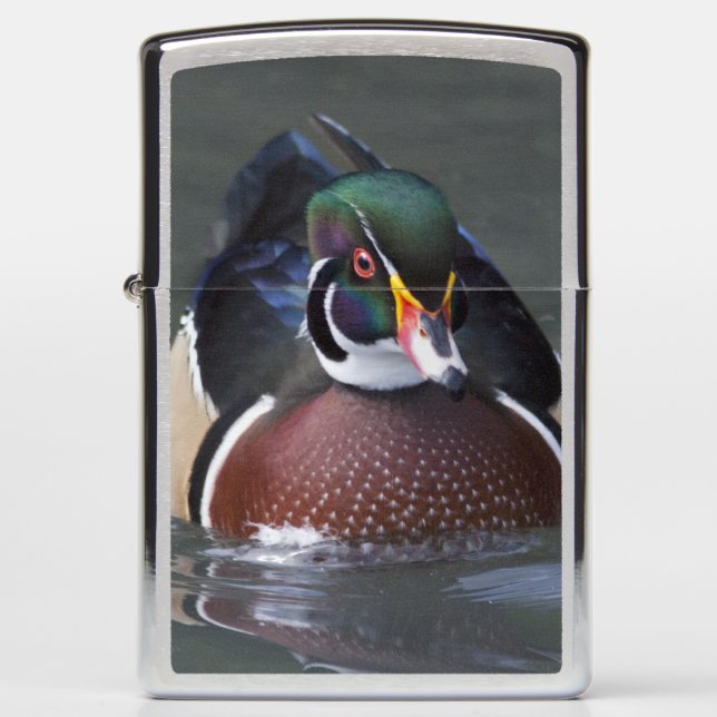 American Wood Duck Lighter (Front)