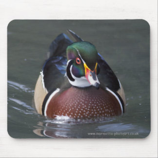 American Wood Duck Mousemat Mouse Pad