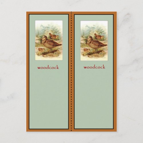 American Woodcock Bookmark Postcard