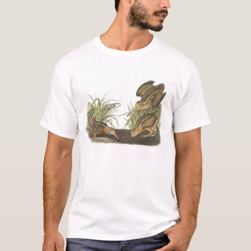 American Woodcock by Audubon T_Shirt