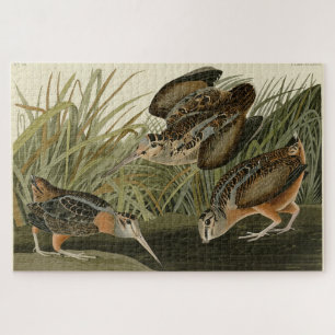 American Woodcock from Audubon's Birds of America Jigsaw Puzzle