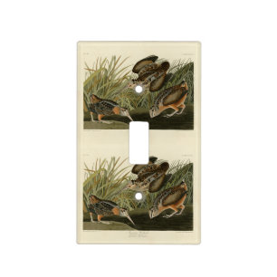 American Woodcock from Audubon's Birds of America Light Switch Cover