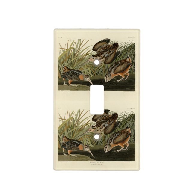 American Woodcock from Audubon's Birds of America Light Switch Cover (Front)