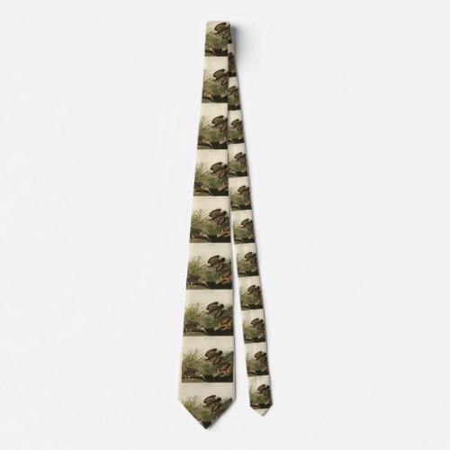 American Woodcock from Audubons Birds of America Neck Tie