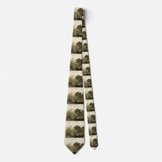 American Woodcock from Audubon's Birds of America Neck Tie (Front)