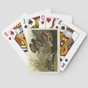American Woodcock from Audubon's Birds of America Poker Cards