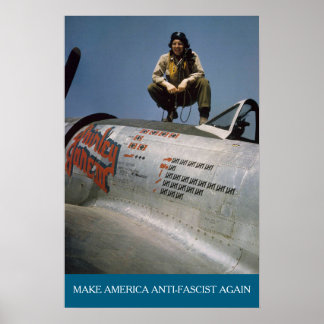 American WWII Pilot MAAFA  Poster