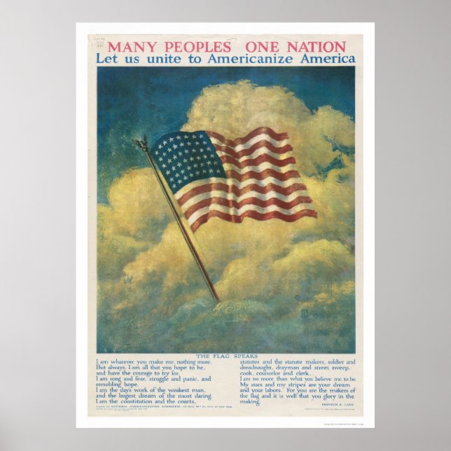 Americanize America Poster (Front)