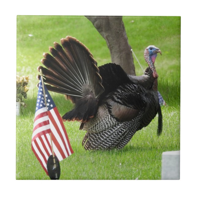 America's Bird Wild Tom Turkey  Ceramic Tile (Front)