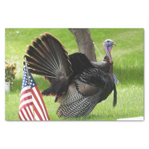 Americas Bird Wild Tom Turkey Tissue Paper