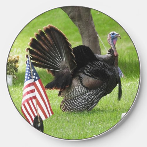 Americas Bird Wild Tom Turkey  Wireless Charger