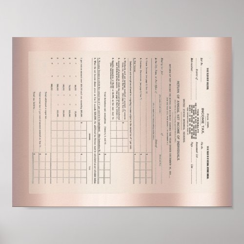 Americas First Income Tax Form 1040 Rose Gold Poster