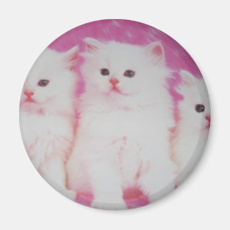 America's Next Top Models Magnet