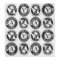 AmeriCorps St. Louis ERT Bandana