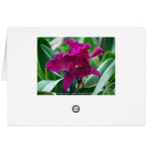 Amethyst Cattleya Orchids Card (Back Horizontal)