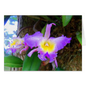 Amethyst Cattleya Orchids Card (Front Horizontal)