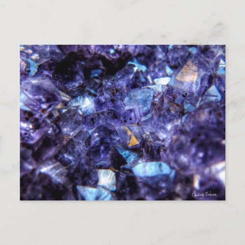 Amethyst Crystals Postcard