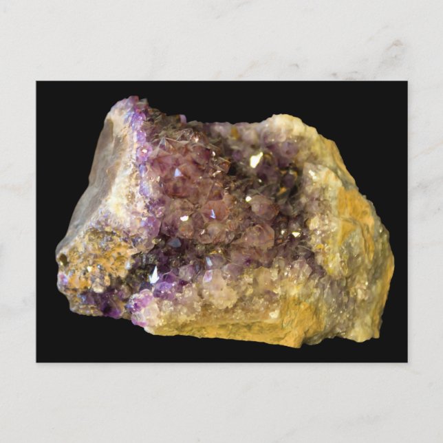 Amethyst on Black Background Postcard (Front)