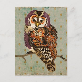 Amethyst Owl Blue Postcard by Greyszoo at Zazzle