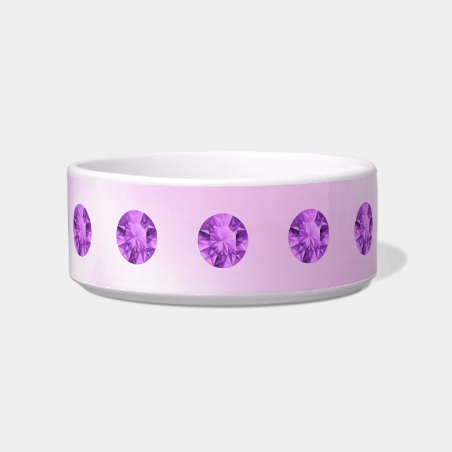 Amethyst Pet Bowl (Front)