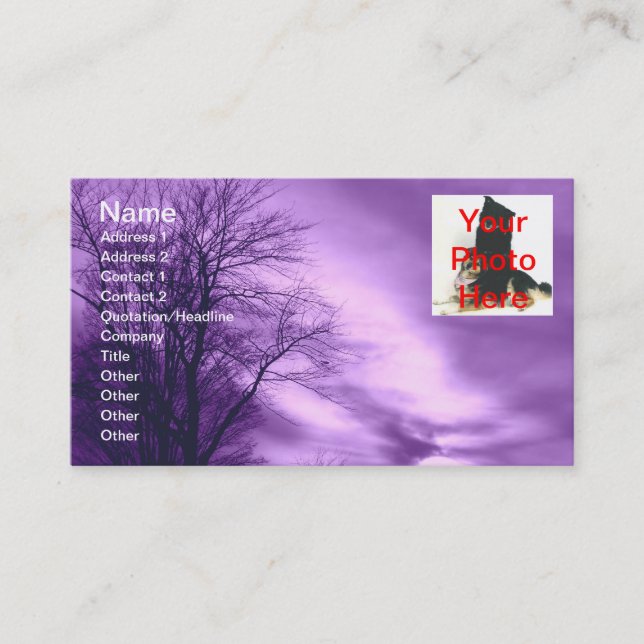 Amethyst Skies Business Cards (Front)