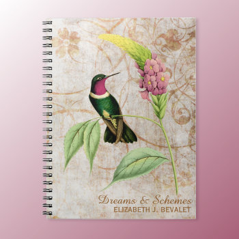Amethyst Throated Hummingbird Notebook by hummingbirder at Zazzle