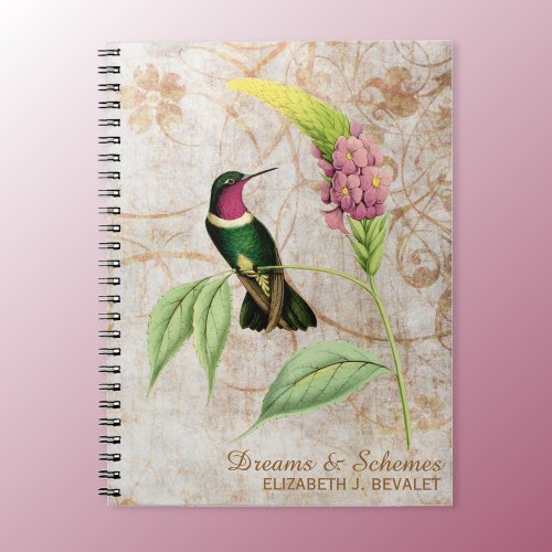 Amethyst Throated Hummingbird Notebook