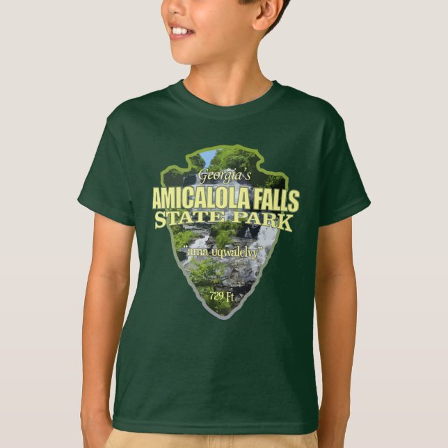 Amicalola Falls (arrowhead) T-Shirt (Front)