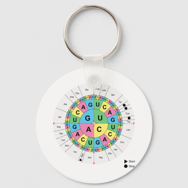 Amino Acid Base Sequence Table Diagram Keychain (Front)