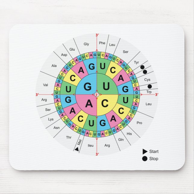 Amino Acid Base Sequence Table Diagram Mouse Pad (Front)
