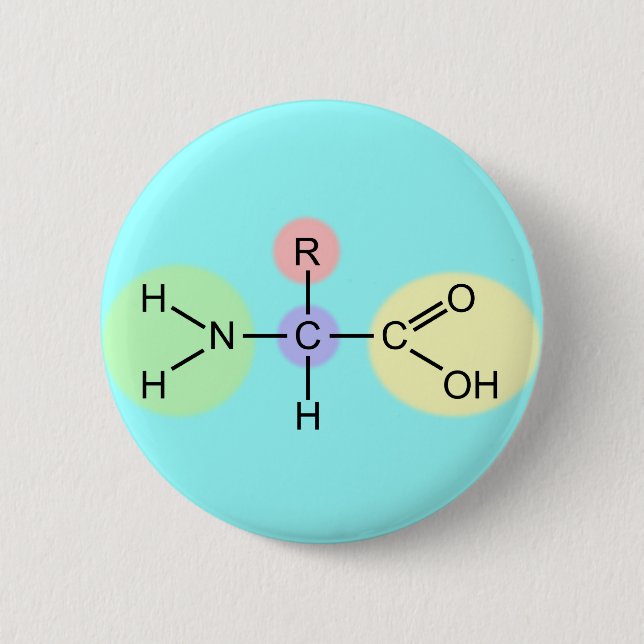 Amino Acid Diagram Button (Front)
