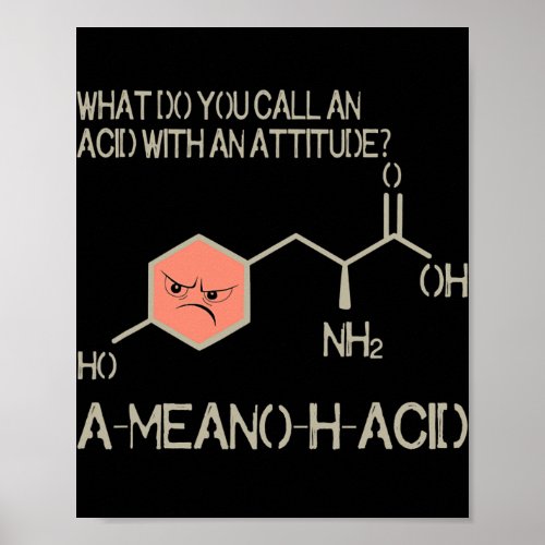 Amino Acid for Women Men Humor Nerdy Chemistry  Poster