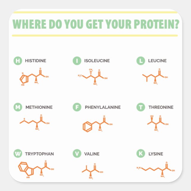 Amino Acids - Where do you get your protein? Square Sticker (Front)