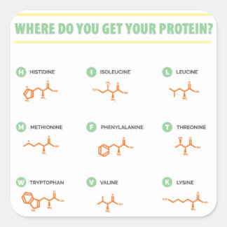 Amino Acids - Where do you get your protein? Square Sticker