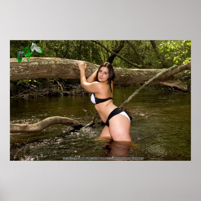 Amira Angel's Animal Shelter Fundraiser Poster (Front)