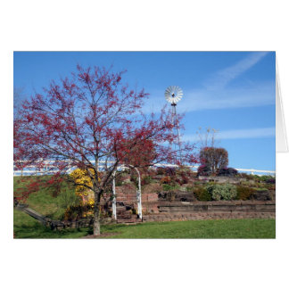 Amish Autumn Garden Cards