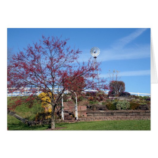 Amish Autumn Garden Cards (Front Horizontal)