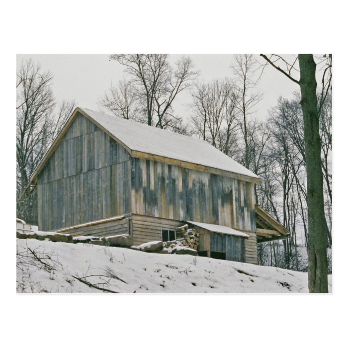 Amish Barn Postcard