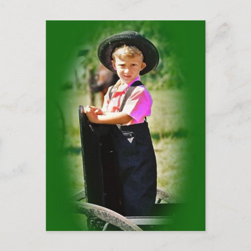 Amish Boy Postcard