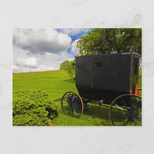 Amish Buggy at Hillside Farm Postcard