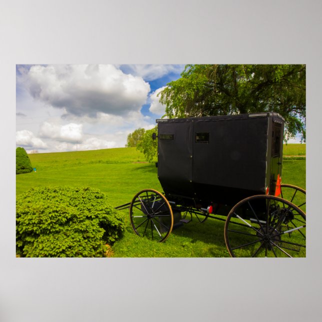 Amish Buggy at Hillside Farm Poster (Front)