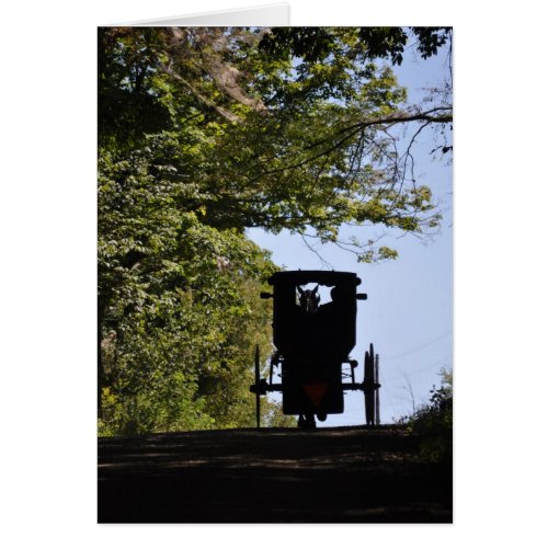 Amish Buggy _Day Silhouette