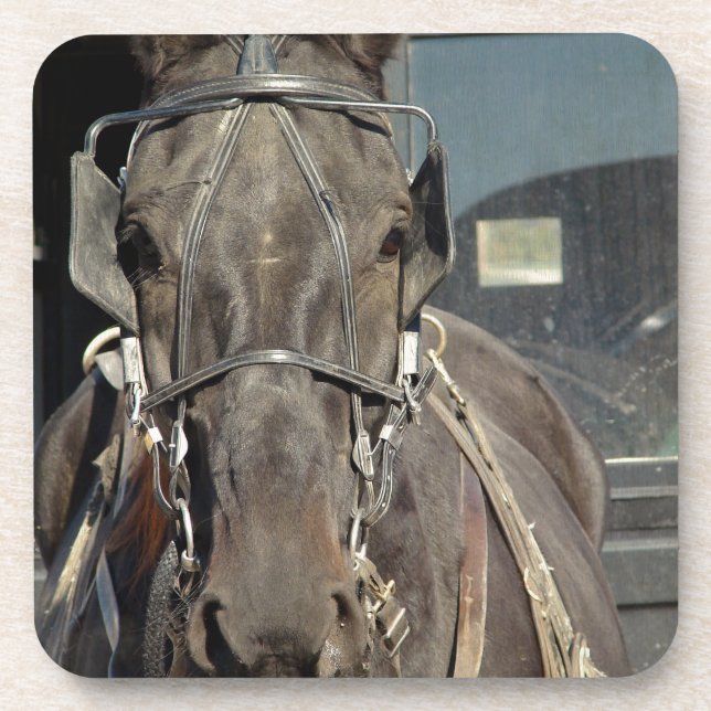 Amish Buggy Horse Beverage Coaster (Front)