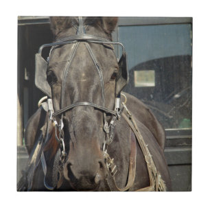 Amish Buggy Horse Ceramic Tile