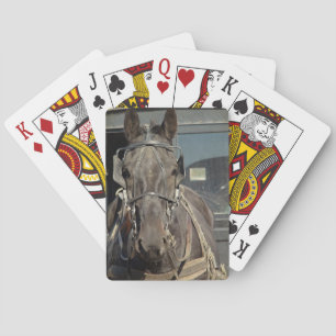 Amish Buggy Horse Poker Cards