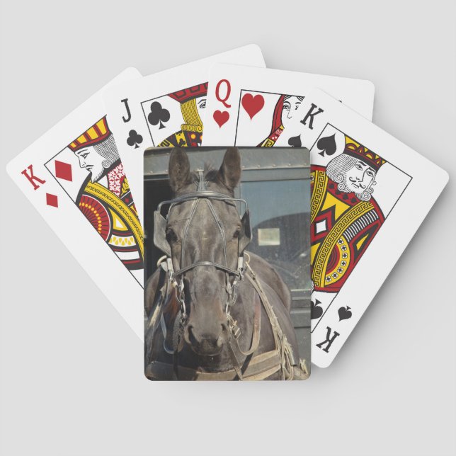 Amish Buggy Horse Poker Cards (Back)