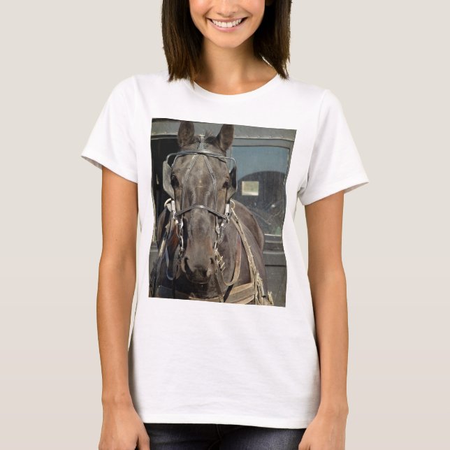 Amish Buggy Horse T-Shirt (Front)