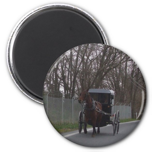 NEW  PINTO  HORSE AND BLACK AMISH BUGGY 